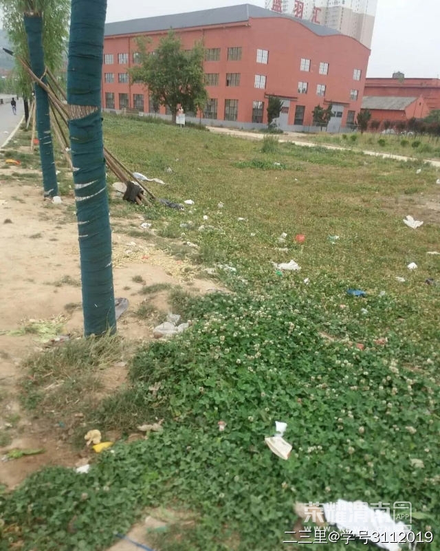 04.jpg