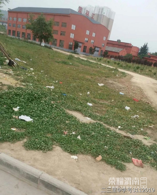 06.jpg