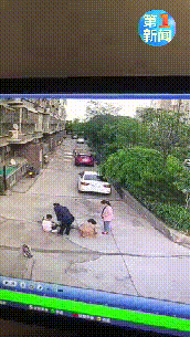 3.gif