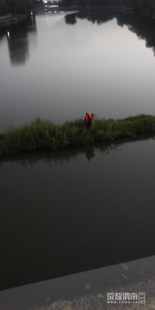 20200517_241782_1589666315762.jpg