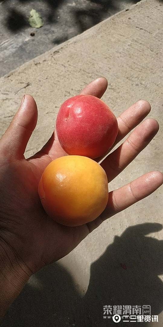 1kilo-img (1).jpg