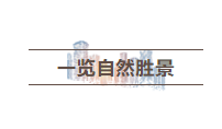 ΢�Ž�ͼ_20200608173358.png