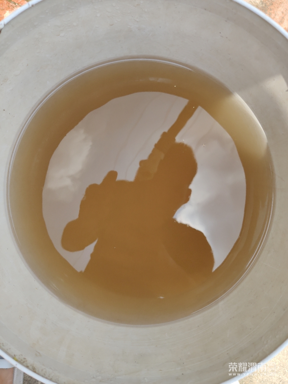 20200611_241294_1591852842267.jpg