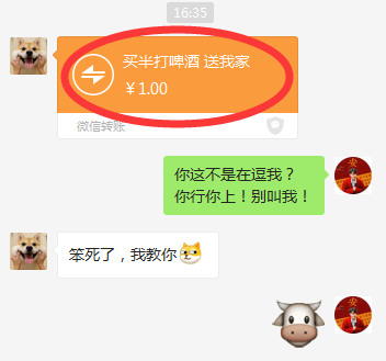 173435umoo2vgzhf89thop.jpg