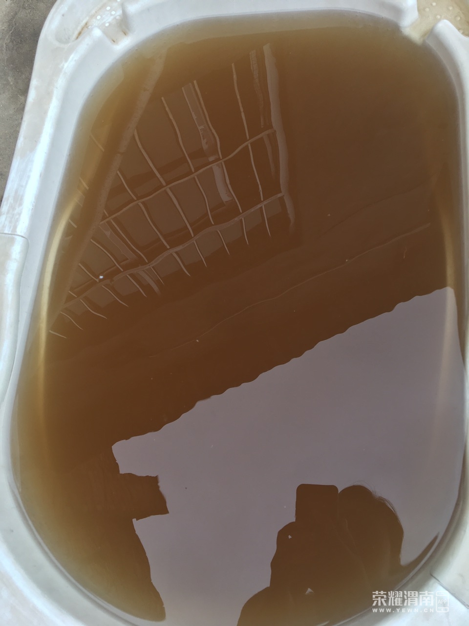 FrAg3imP_Zdc7hnvaHCxXhH03t53.jpg