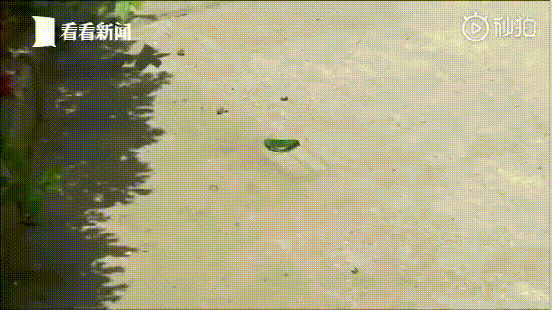 ΢��ͼƬ_20200628163422.gif