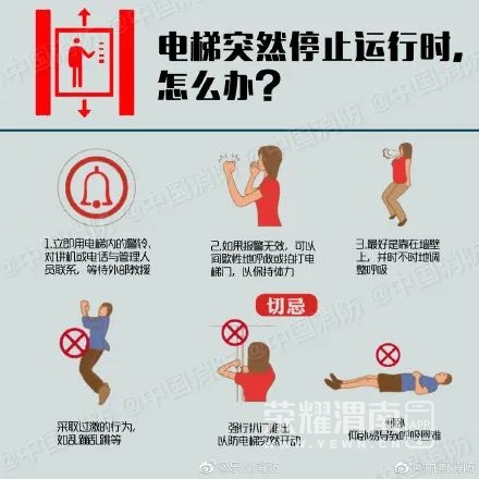 170630tvbziurvbl9yicgi.jpg