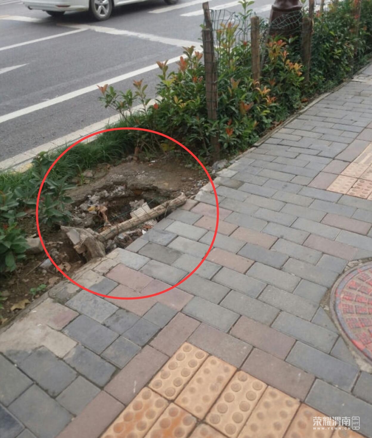QQ��ͼ20200821153033.jpg