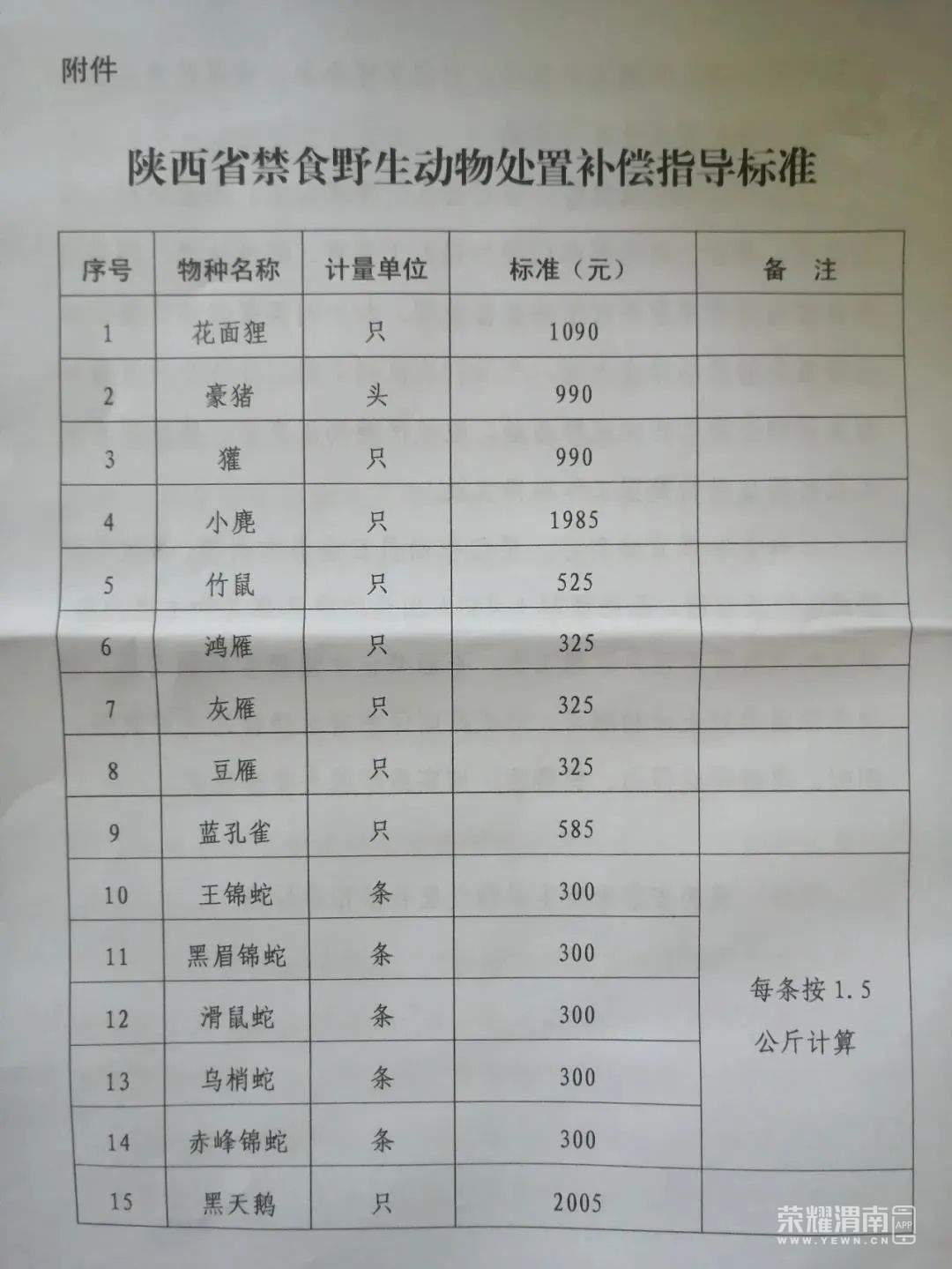 152130qsaav4ezmwafumve.jpg