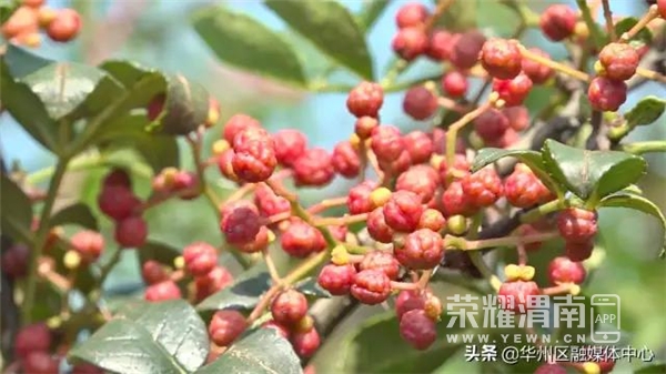 ΢��ͼƬ_20200829095331.jpg
