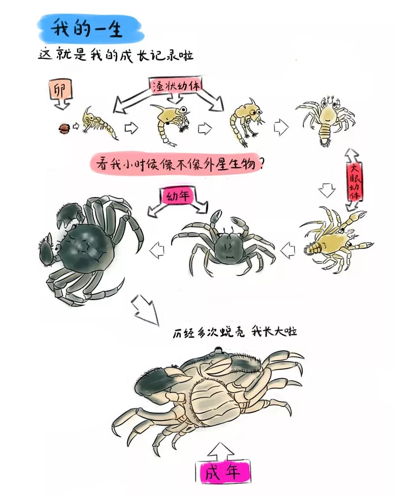 640.webp (9).jpg