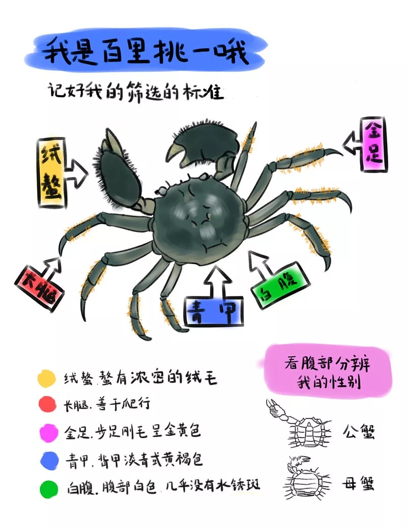 640.webp (10).jpg