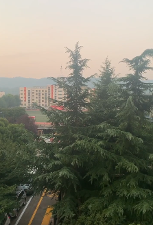 ΢�Ž�ͼ_20200911140621.png