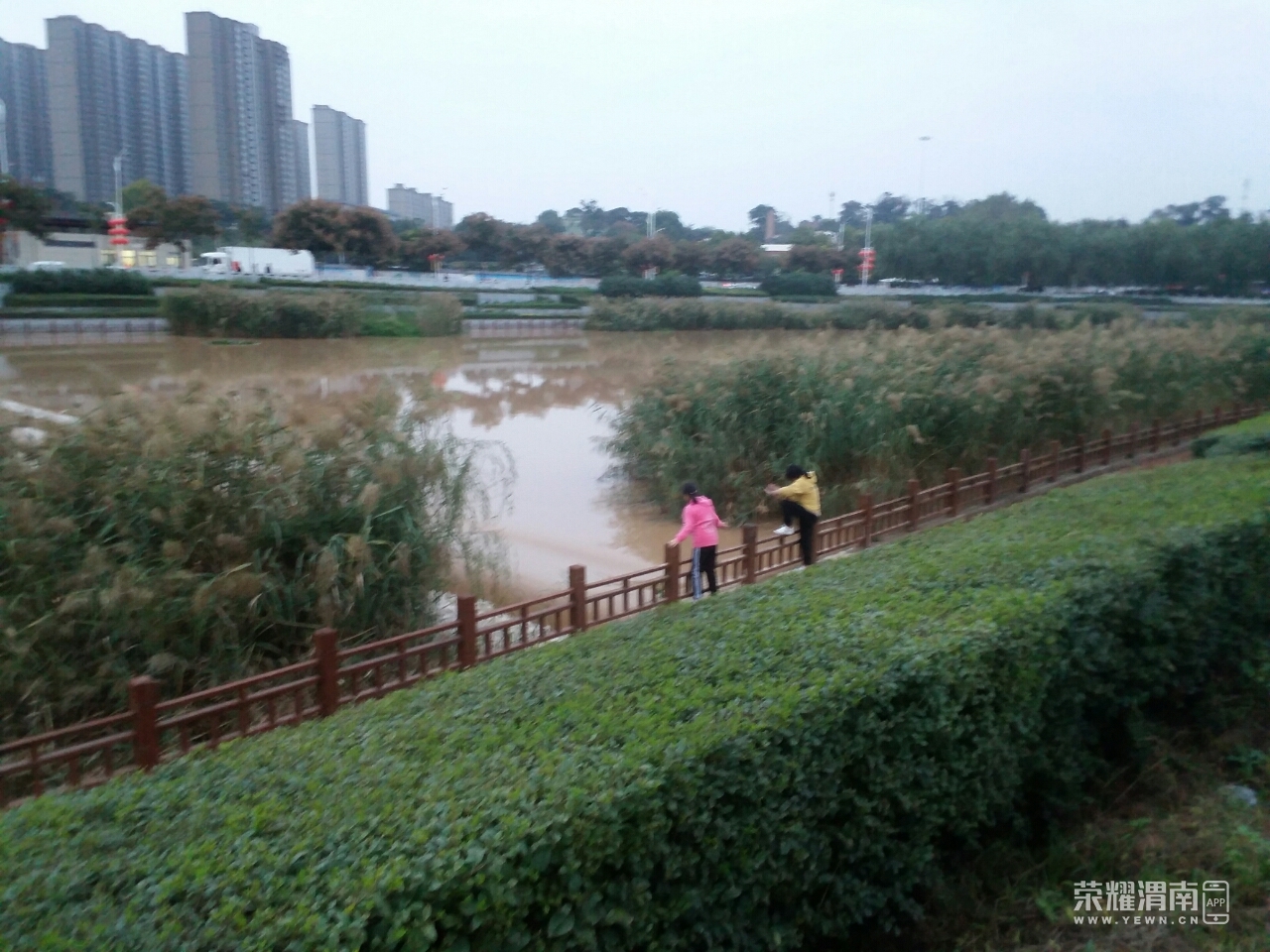 渭南沋河公园河道涨水,健身跑道被漫,近期还是少去吧(多图)