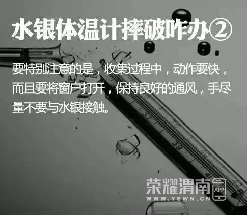 103152rvtlb0jsjzmciobt.jpg