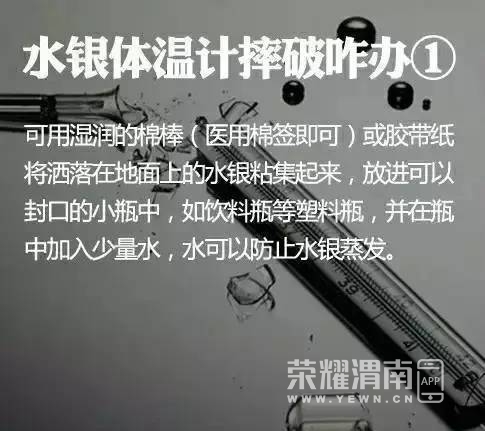 103152mc0bcdbe31zebmm9.jpg