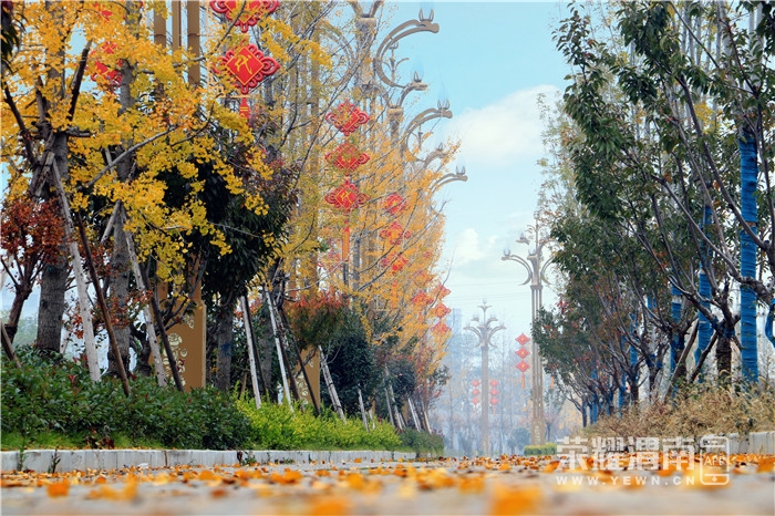 ΢��ͼƬ_20201029160307_����.jpg