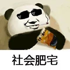 110156r9gpsl0xuzg9p8gp.jpg