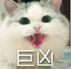 112144d6wjlluw2jl2j6t6.jpg