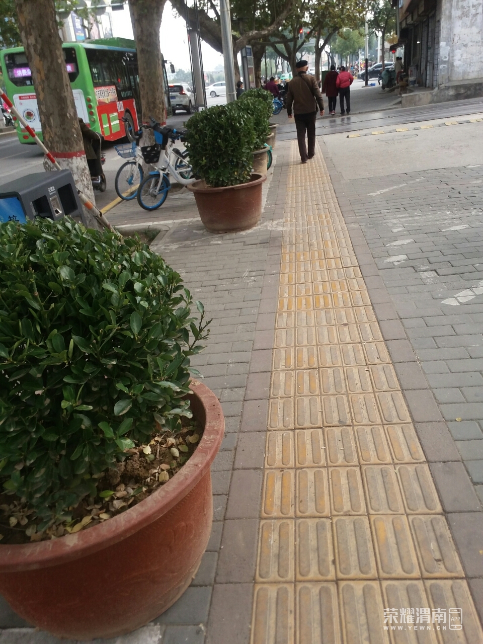 front2_0_FiyXZaisAA-Y_7X-_SdRK7xHs-JQ.1604628887.jpg