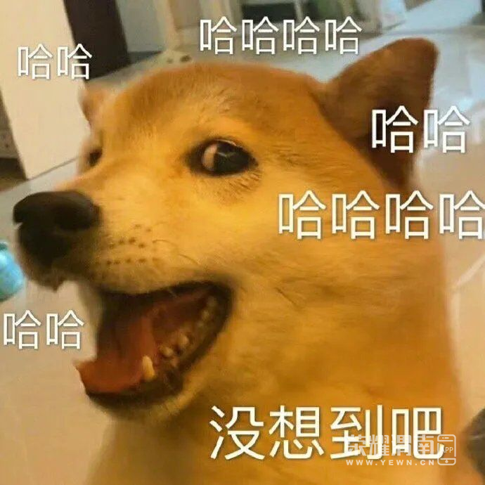 103405ybtn48hhutthhuh2.jpg
