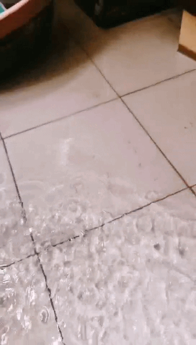 2.gif