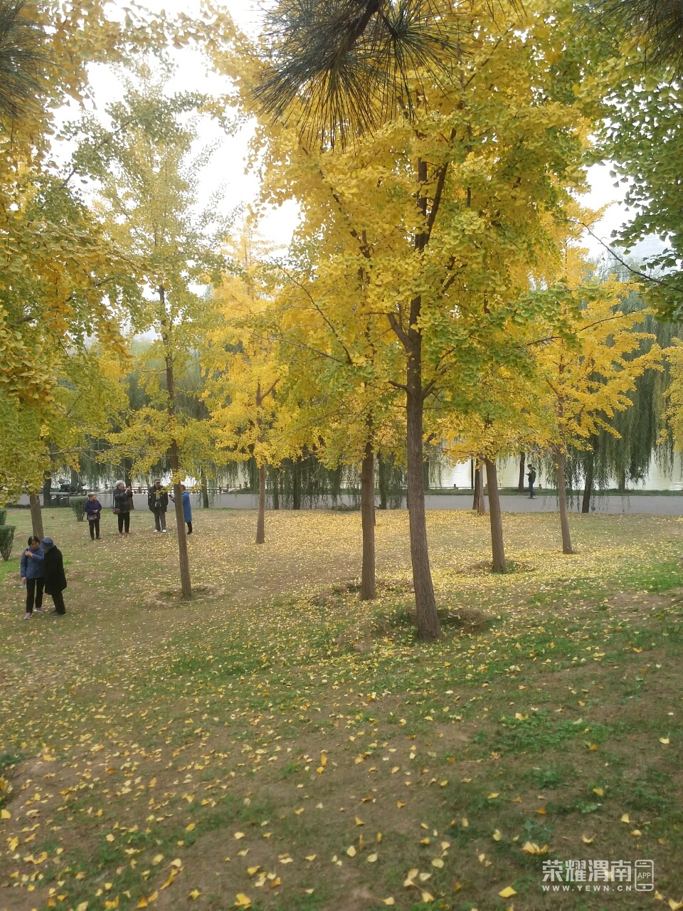 front2_0_FlUIP9nGE-kHMr3MM7Q9yCtijnjT.1605147964.jpg