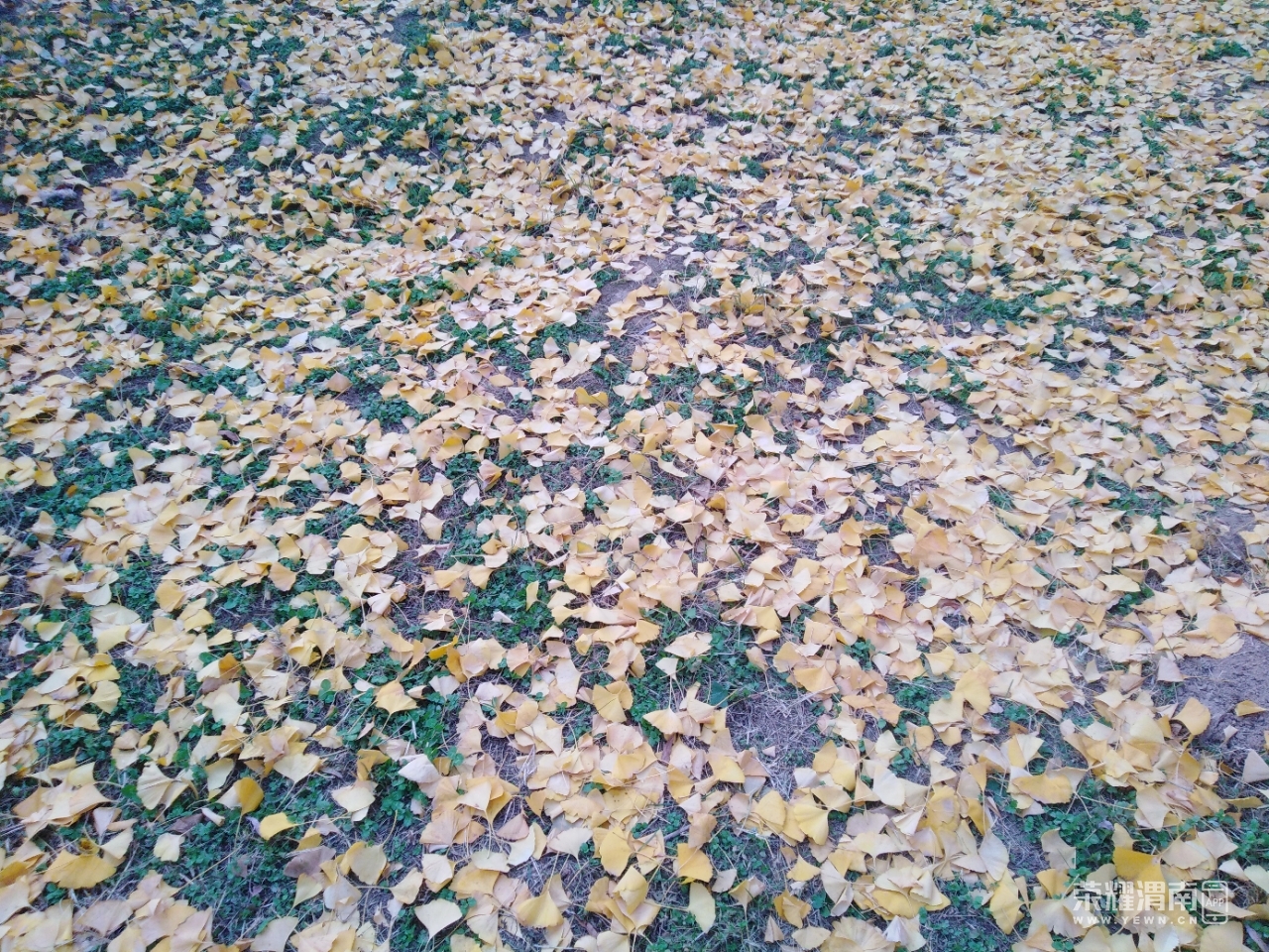 front2_0_FqwcV-kiqwKmSdHKomok7yr8wRfV.1605426265.jpg