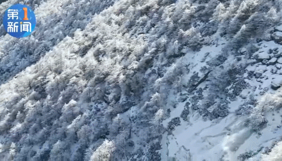 ΢��ͼƬ_20201118145540.gif