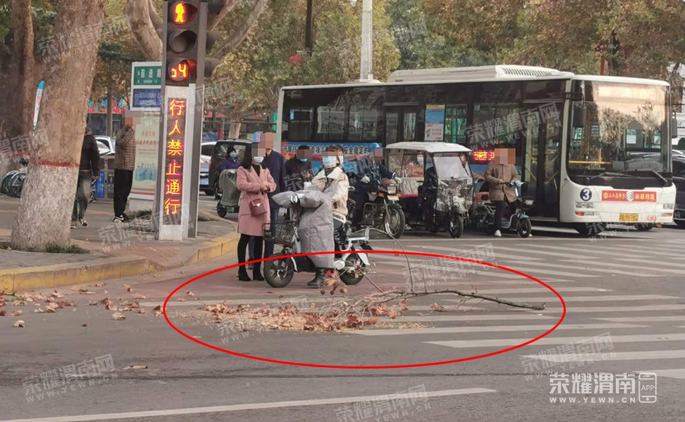 ΢��ͼƬ_20201120084916.jpg