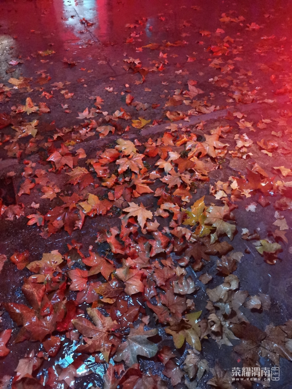 front2_0_Fhoz8HQUIHlSG_iJHT5sqnRDxZMk.1605878816.jpg