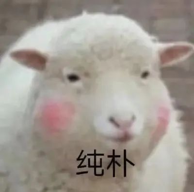 145312f09wam39zl8uuubz.jpg