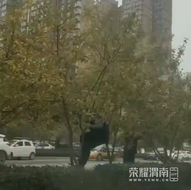 ΢�Ž�ͼ_20201203145458.png