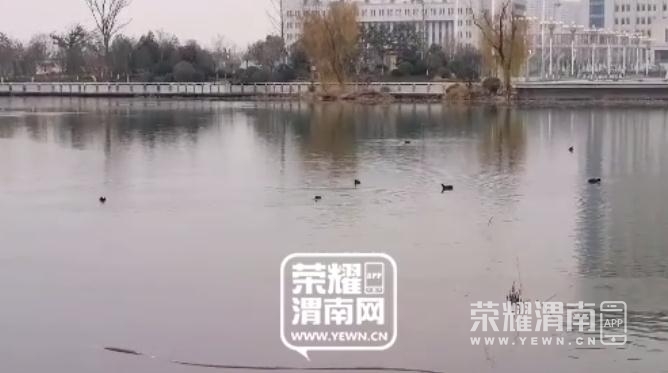 ΢�Ž�ͼ_20201215170955.jpg