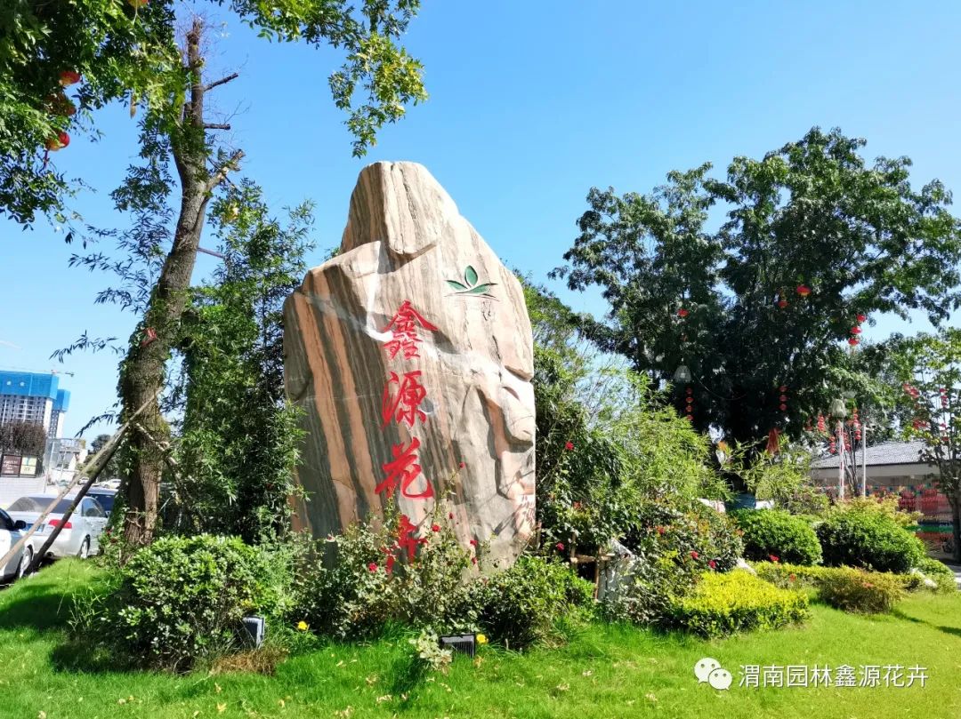 171950jn99bia9pu9asssh.jpg