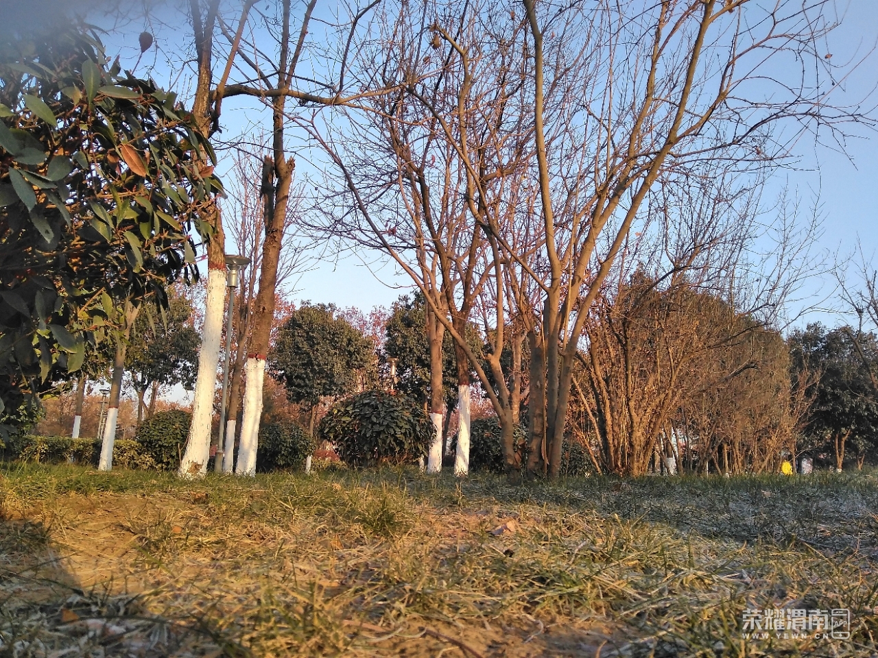 front2_0_Fpi-L1c3JElR5OUwz9C62t8Sm7VP.1608948858.jpg