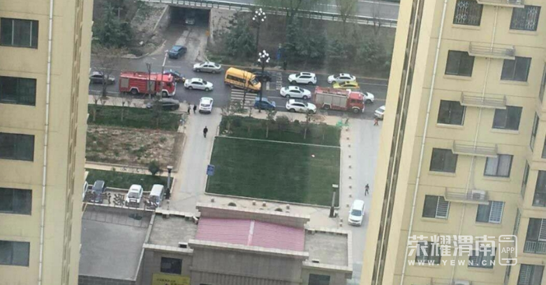 102528dizw3i91tajso7wt.jpg