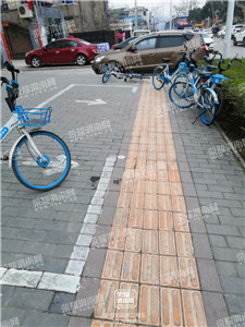 159.jpg