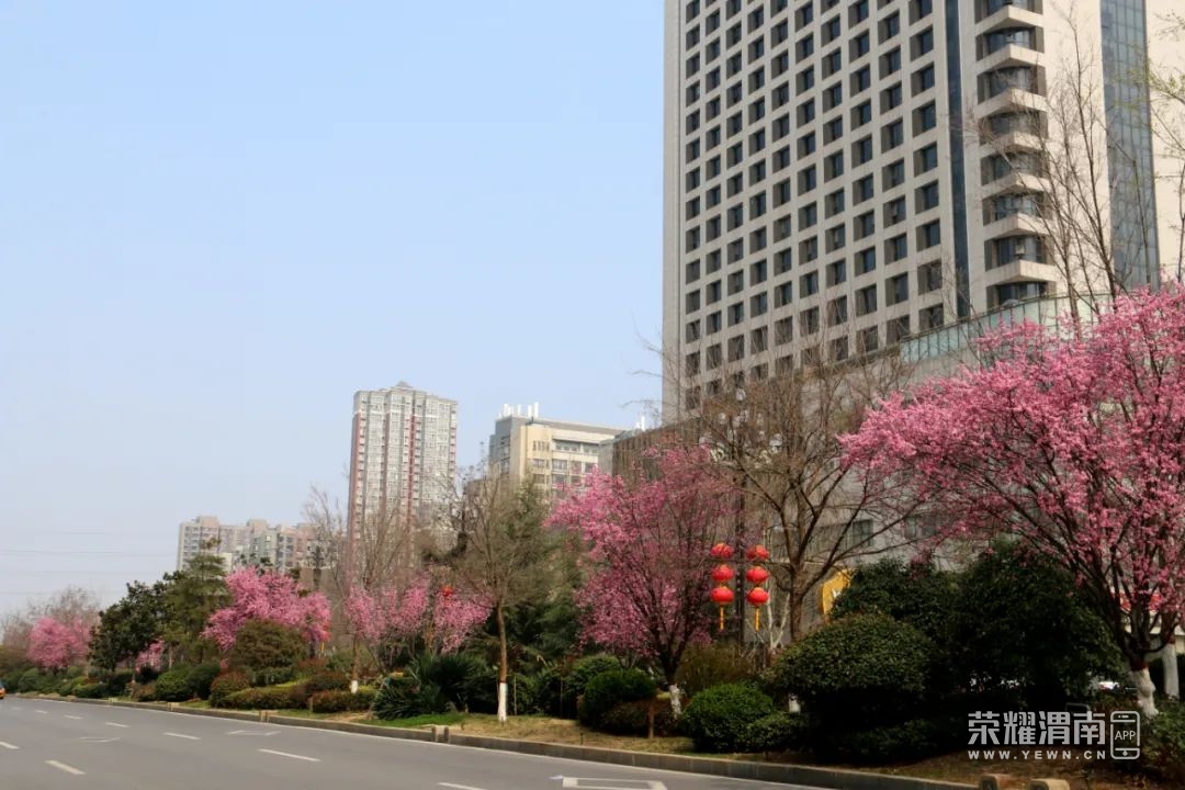 175120a8b8qzb8jsvfb5is.jpg