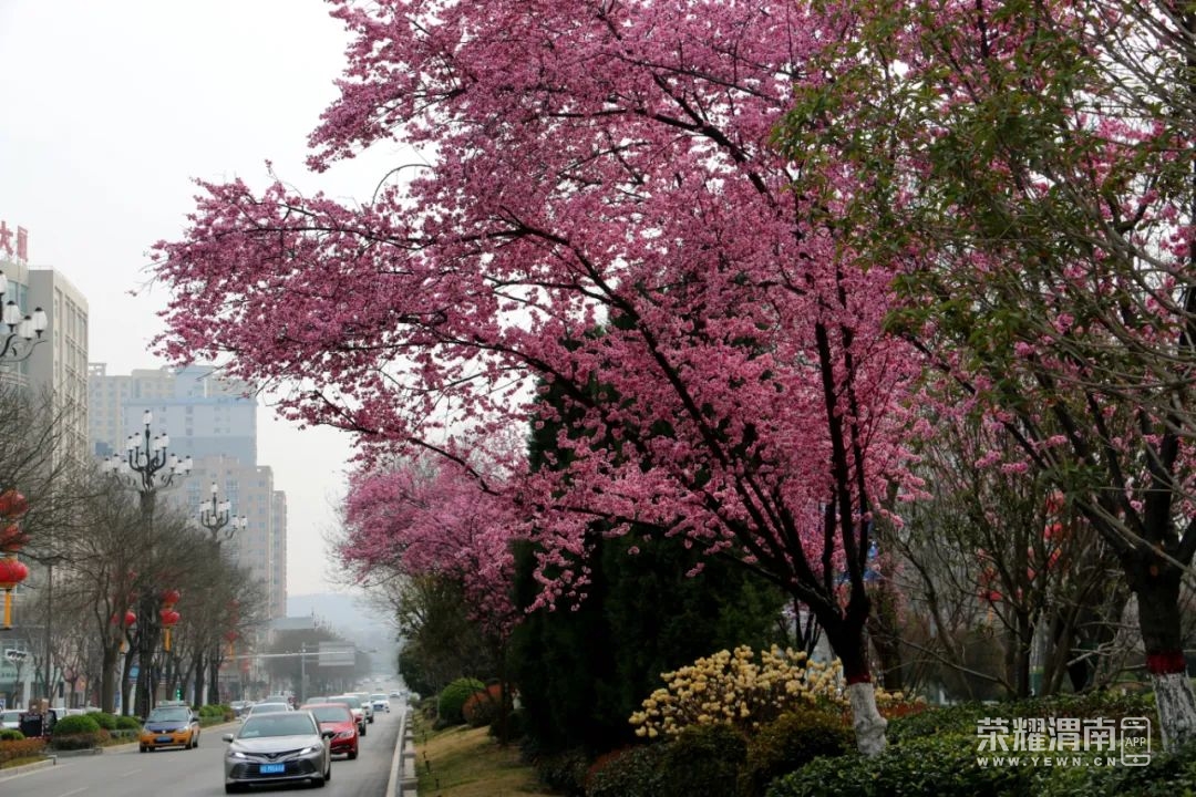 175122bs8f3wwdyscswysz.jpg