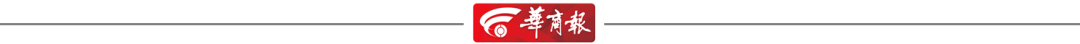 145331z3spda14lzseo3ap.jpg