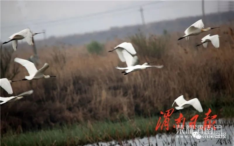 154002q0h6j969dzuusisf.jpg