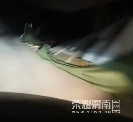 ΢�Ž�ͼ_20210329083714.png