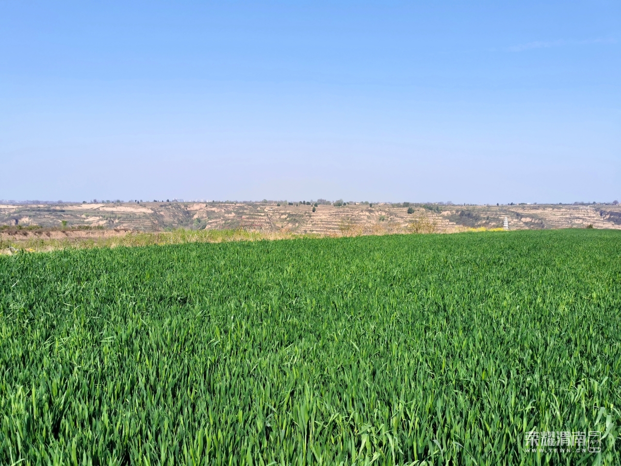 front2_0_Fo8nUv_osC4to3efLJS2eEsv3sz0.1617675080.jpg