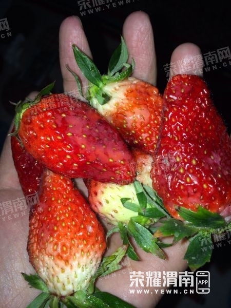 160302u0jzapciq0rpowaz.jpg