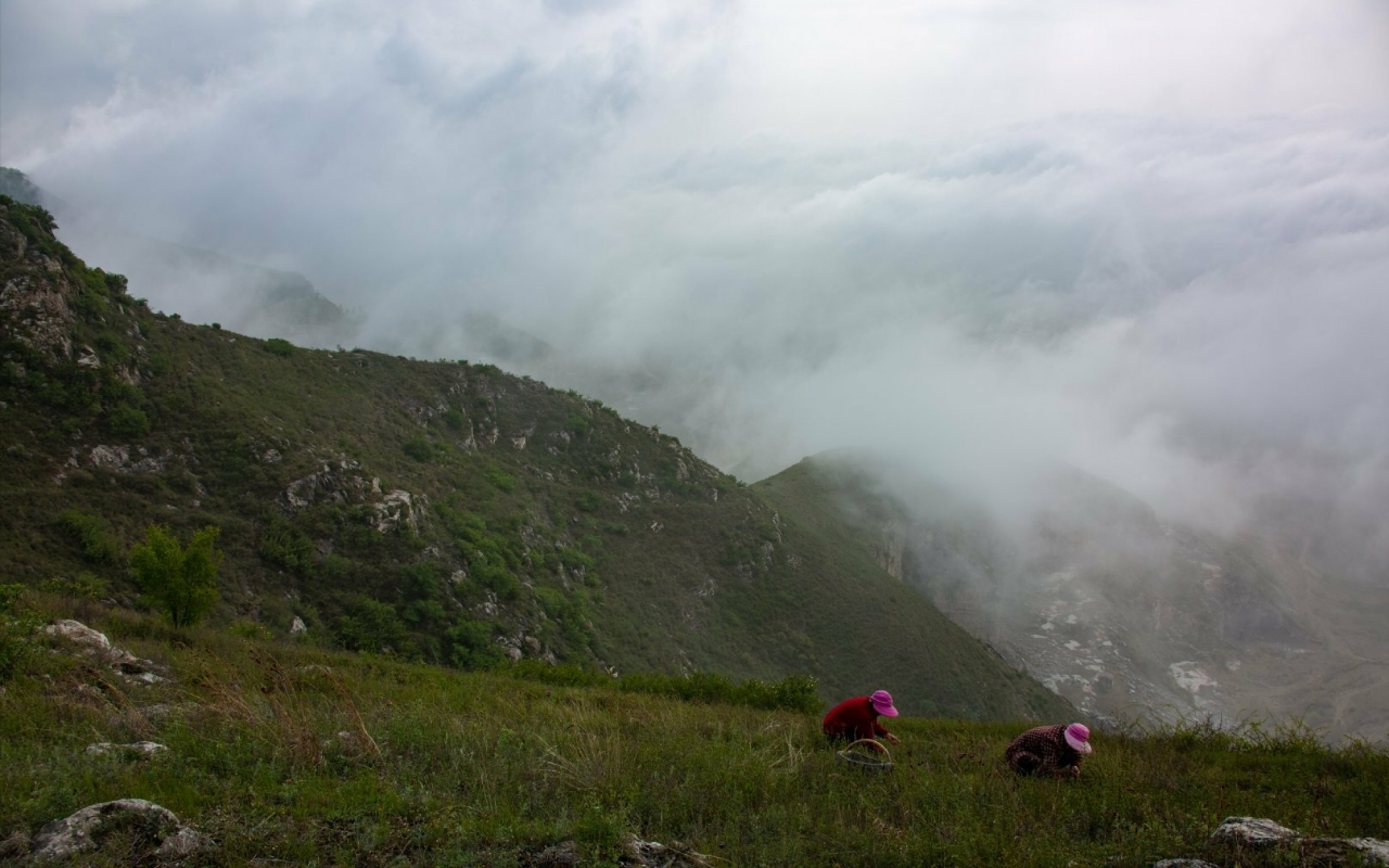 五一去蒲城堯山遊玩,雨後的堯山如仙境般美麗,大家來過這裡嗎?