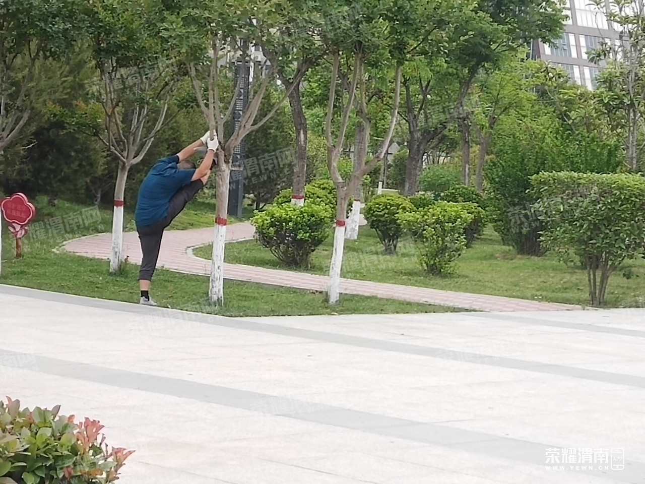 早上在秦代遺址公園看到有人這樣鍛鍊身體,既折騰了自己又糟蹋了小