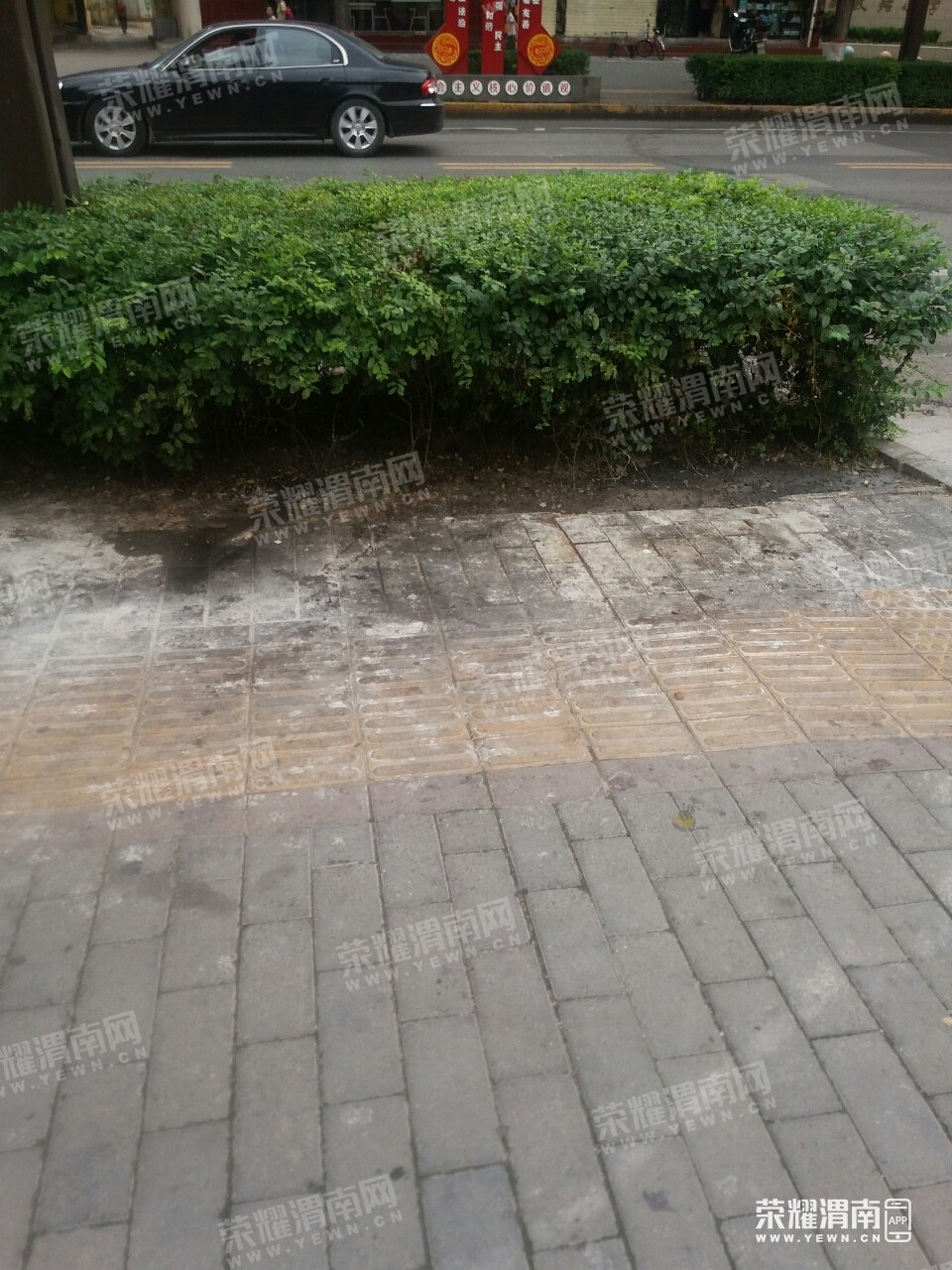 081409e04vg2p0dv2dnazs.jpg