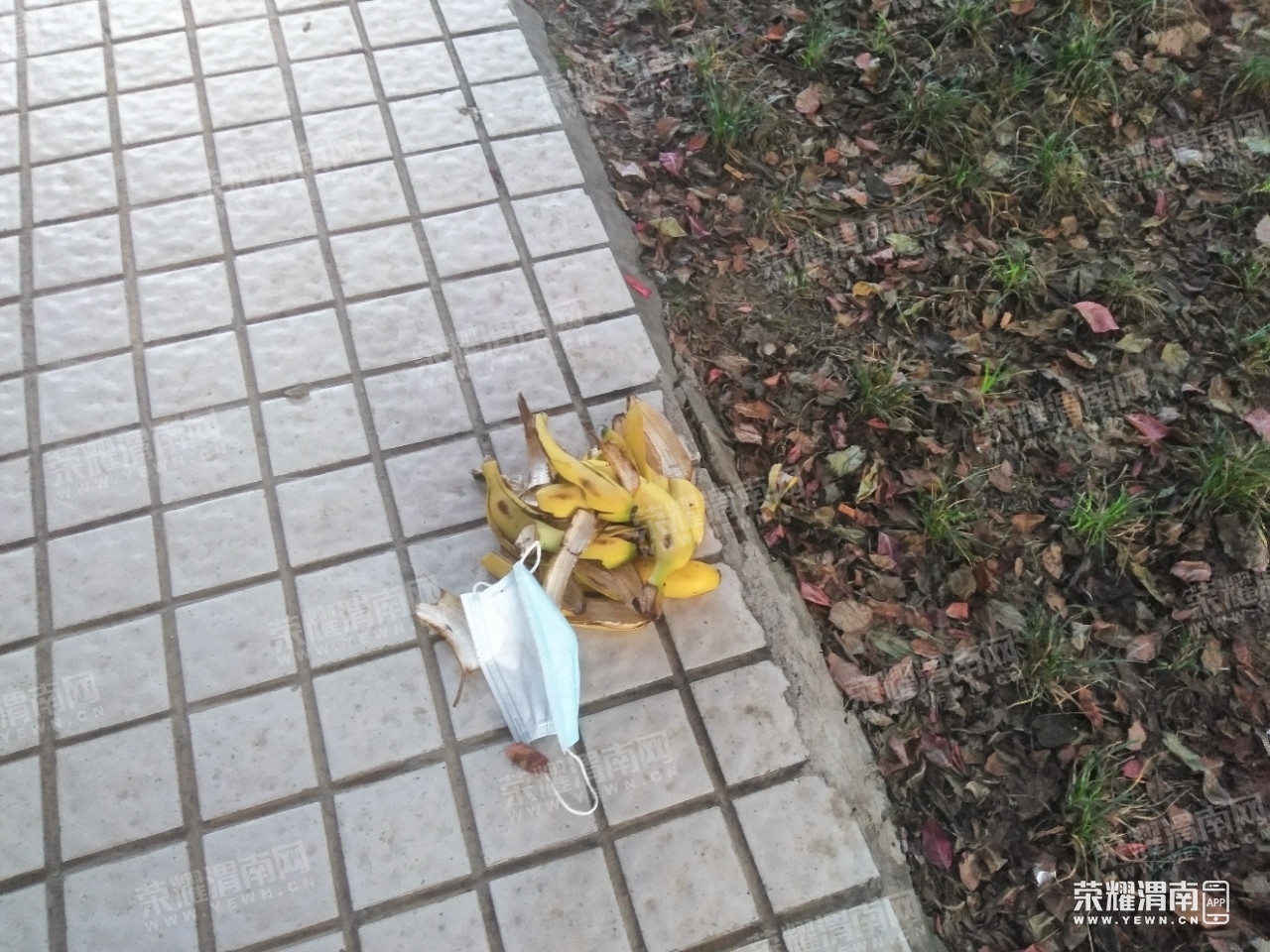090226stt2c0oouyiuzfko.jpg