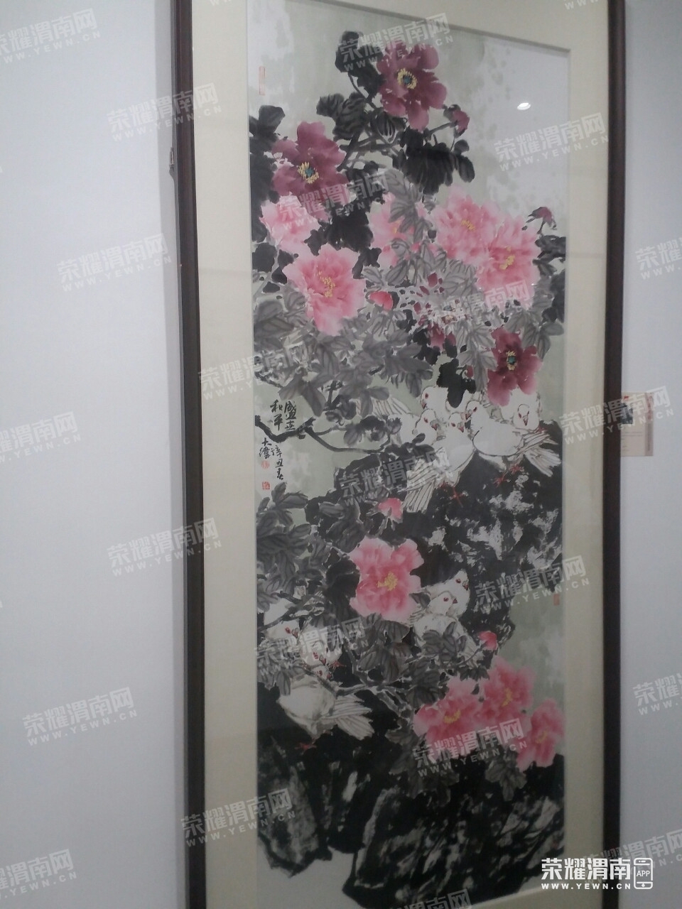 090446d06a1aw7dp7x54wp.jpg